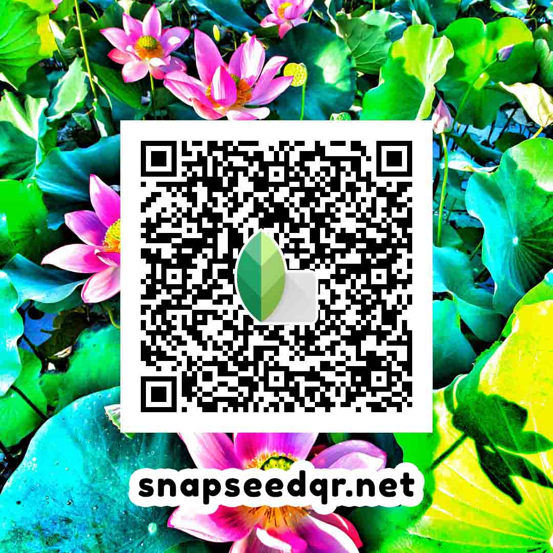 16k Snapseed Qr Code